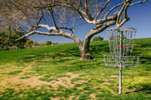 Poimena Reserve Disc Golf Course